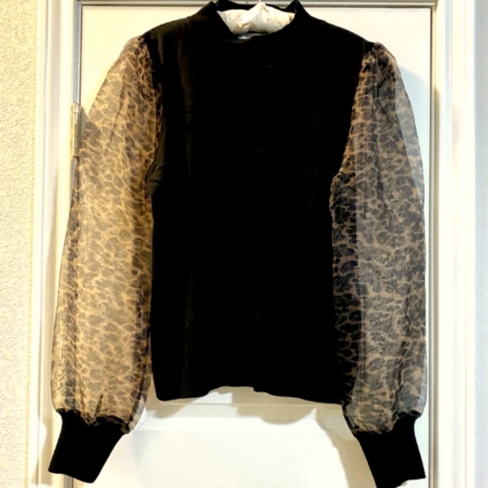 Sheer Sleeve Sweater - Picture 1 of 2